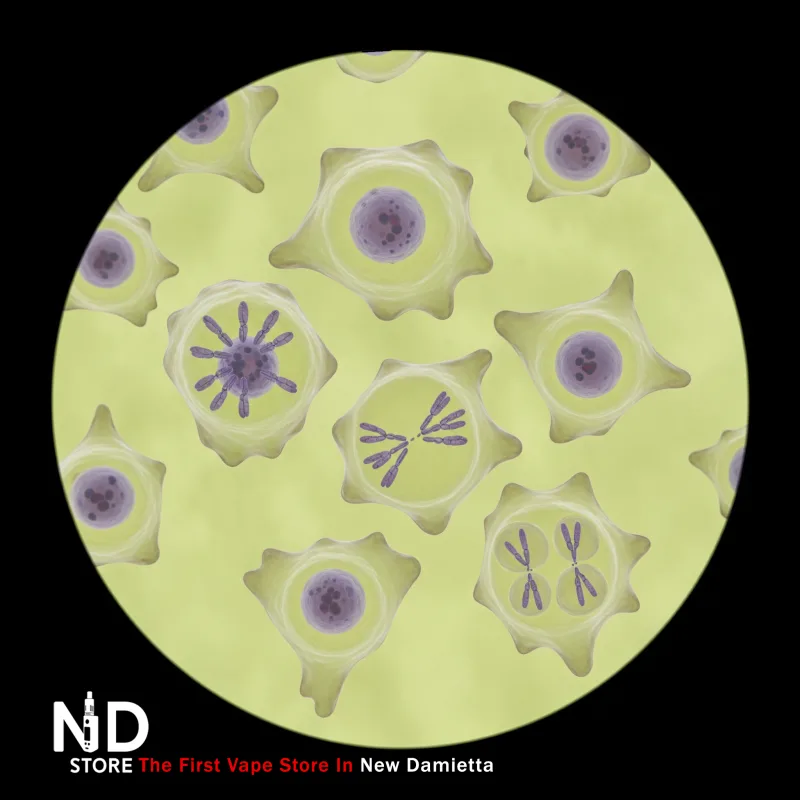how cancer develops كيف يحدث السرطان - خلطات الخلايا الطافرة - ND Store - أفضل فيب ستور في دمياط